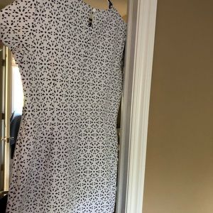 Brooks brothers women’s dress